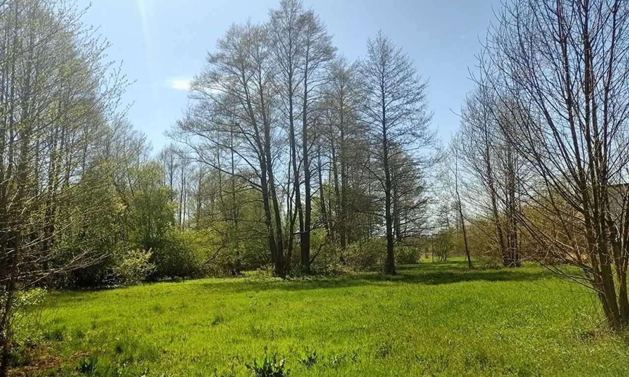 Działka siedliskowa Podbiel. Zdjęcie 8