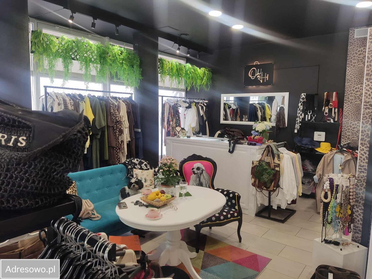 Lokal Jelenia Góra Centrum, ul. Krótka. Zdjęcie 2