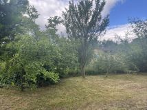 Działka rod Gorlice, ul. Blich. Zdjęcie 1