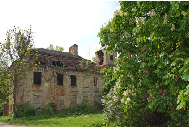 Działka inwestycyjna Wojciechów. Zdjęcie 7