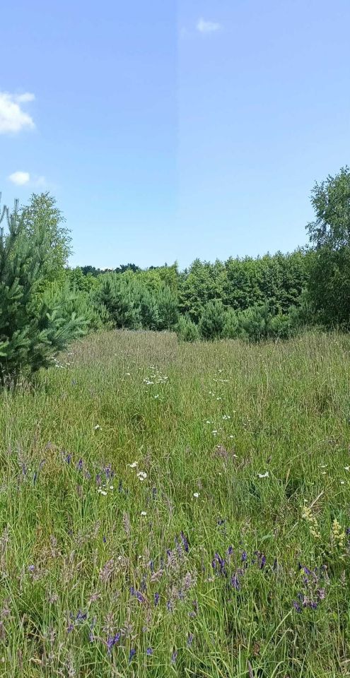 Działka rolna Urowo Murawki. Zdjęcie 8
