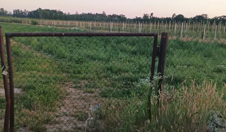 Działka rolna Nowa Wieś