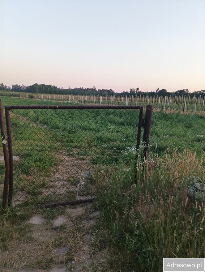 Działka rolna Nowa Wieś. Zdjęcie 1