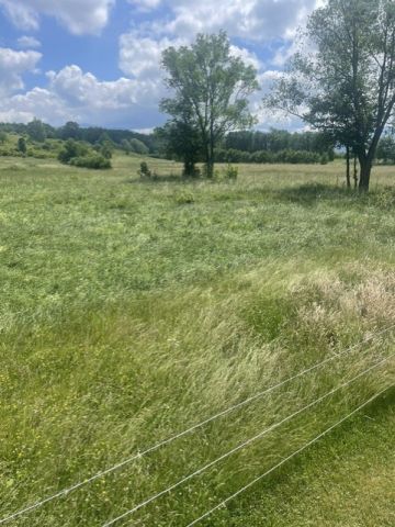 Działka budowlana Wilkanów. Zdjęcie 1