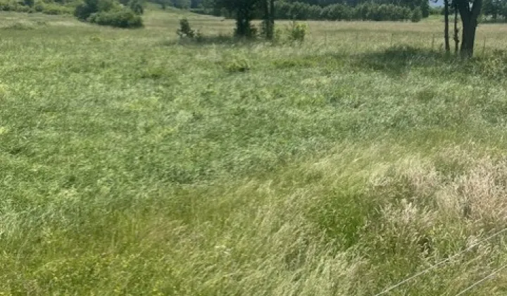 Działka budowlana Wilkanów