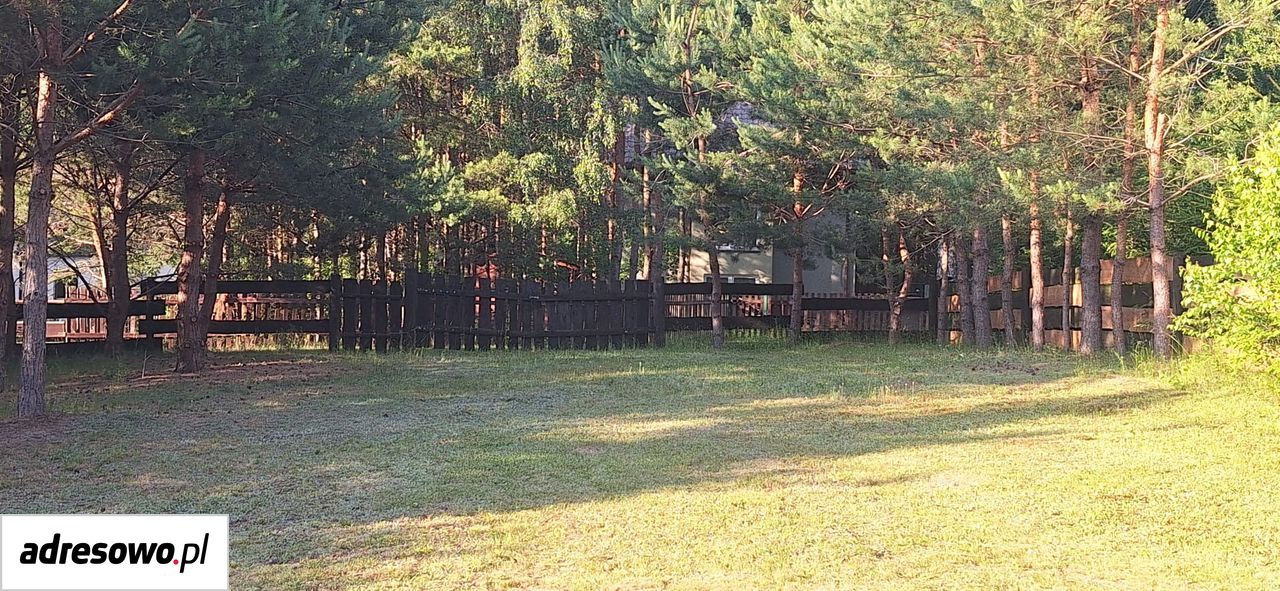 Działka rekreacyjna Rybno. Zdjęcie 6