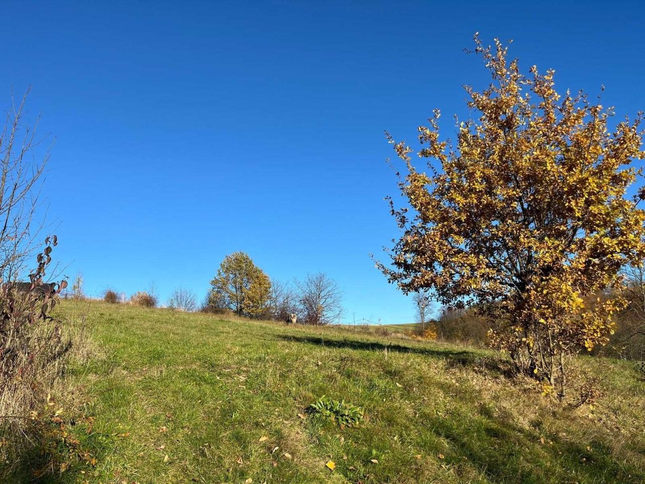 Działka budowlana Rzepiennik Biskupi. Zdjęcie 7