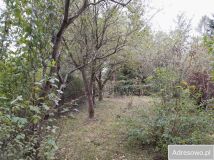 Działka rod Kielce, ul. Leśniówka. Zdjęcie 4