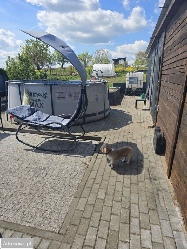 dom szeregowy, 3 pokoje Rycerzewko. Zdjęcie 12