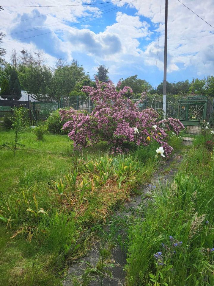 Działka rod Katowice Brynów, ul. Feliksa Bocheńskiego. Zdjęcie 4