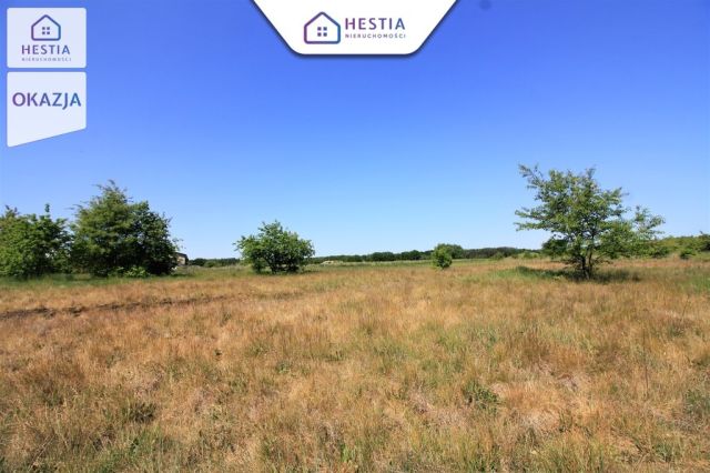 Działka rolna Wieńkowo. Zdjęcie 2