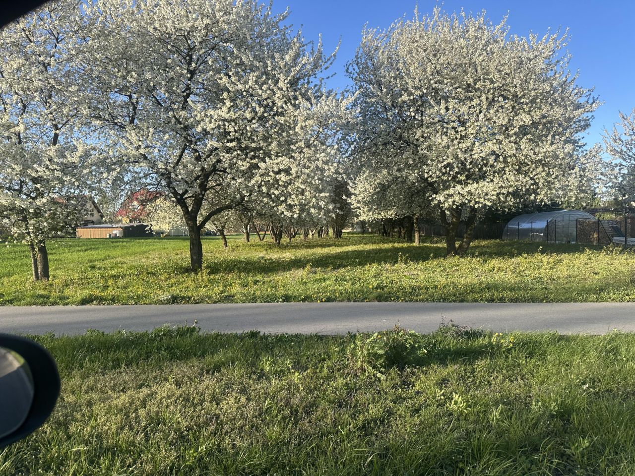 Działka budowlana Dęblin Michalinów, ul. Kwiatowa. Zdjęcie 8