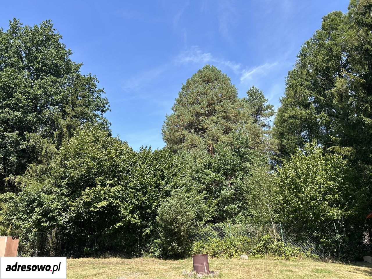 Działka leśna Kijów. Zdjęcie 11