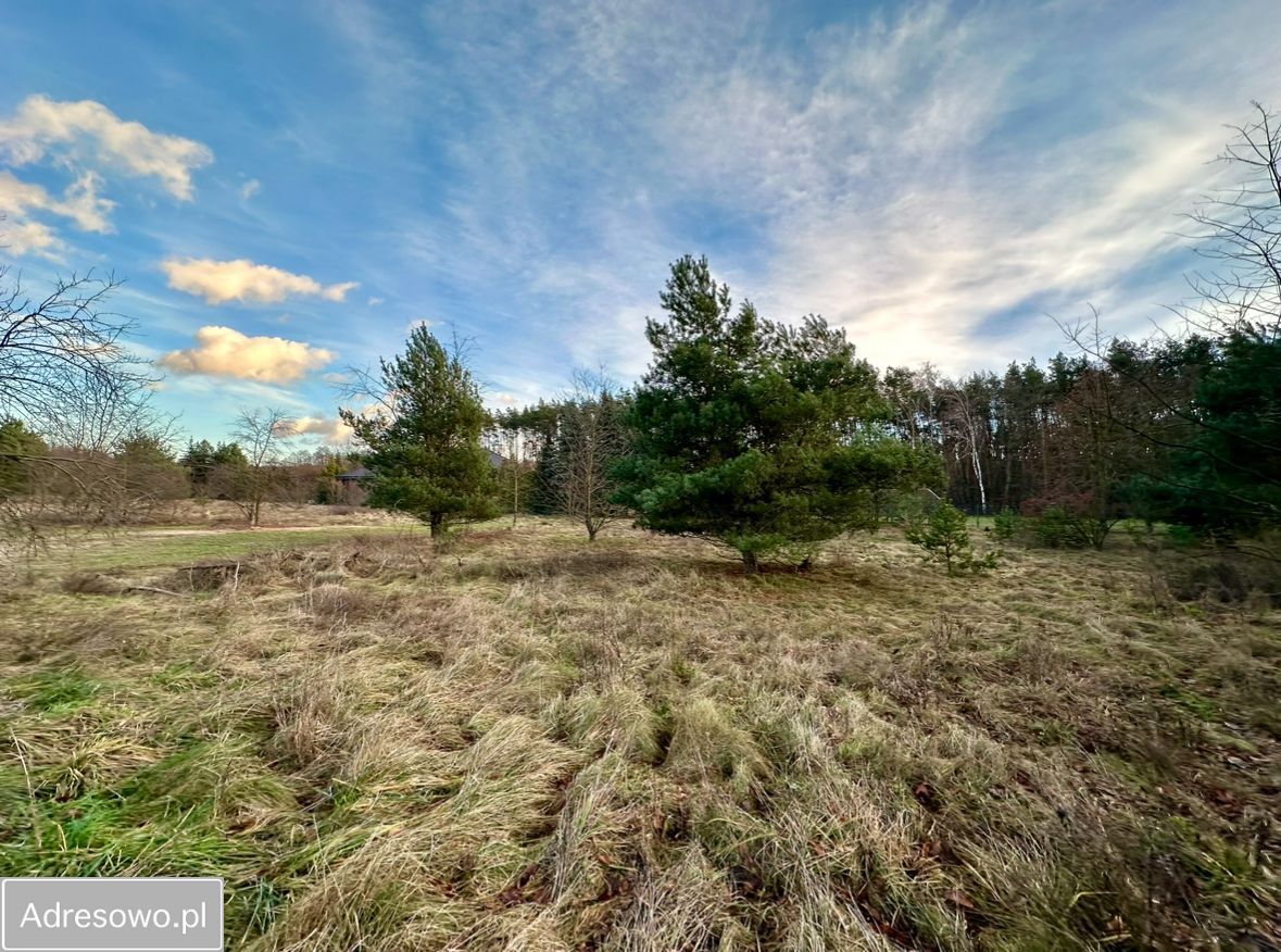 Działka budowlana Poznań Ławica, ul. Owcza