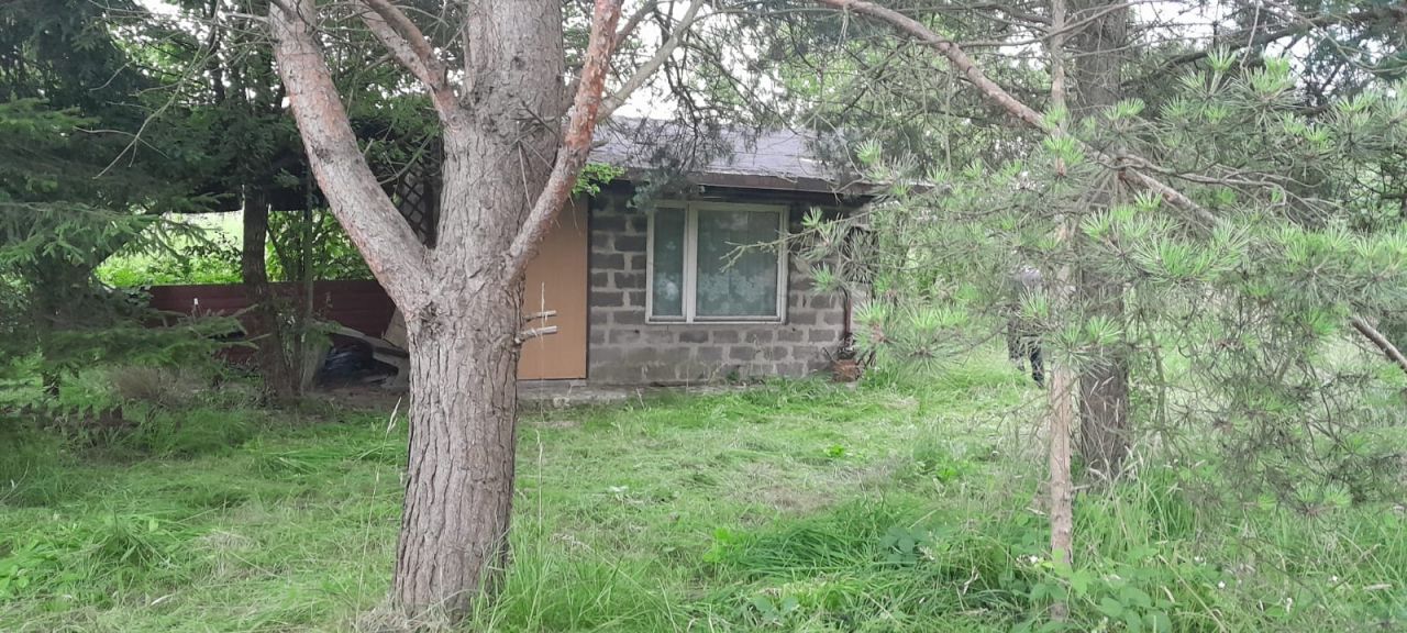 Działka rod Sosnowiec Kazimierz, ul. Konstantego Ildefonsa Gałczyńskiego