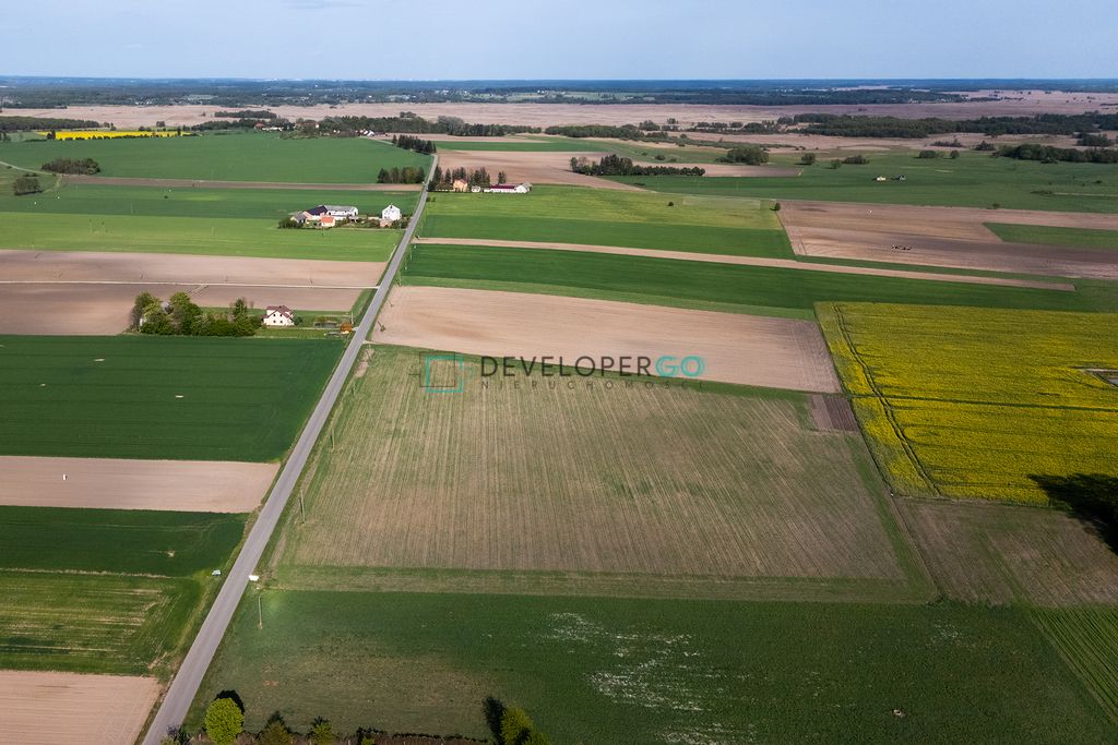 Działka budowlana Kurowo-Kolonia. Zdjęcie 6