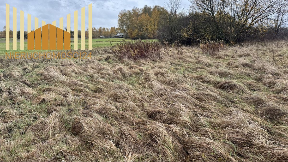 Działka rolna Wólka Iłówiecka. Zdjęcie 4