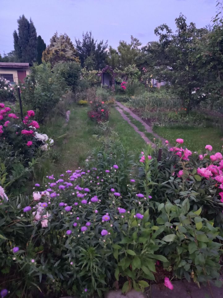 Działka rod Wrocław Szczepin, ul. Starogroblowa. Zdjęcie 4