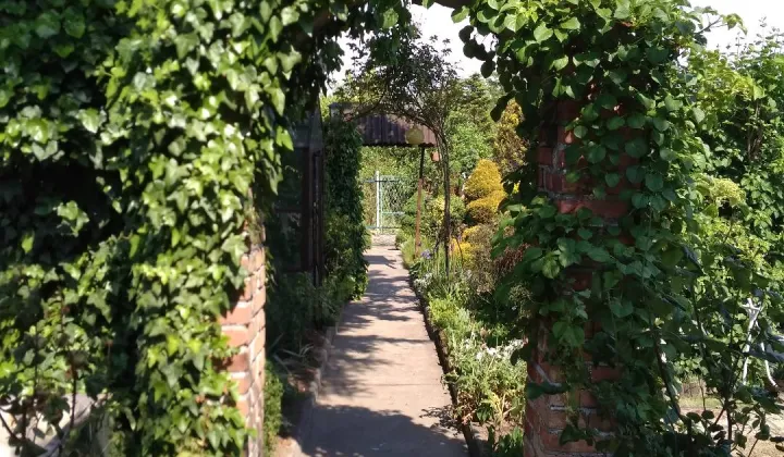 Działka rod Piekary Śląskie Brzeziny Śląskie, ul. Walentego Roździeńskiego