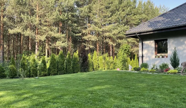 dom wolnostojący Włodzimierzów