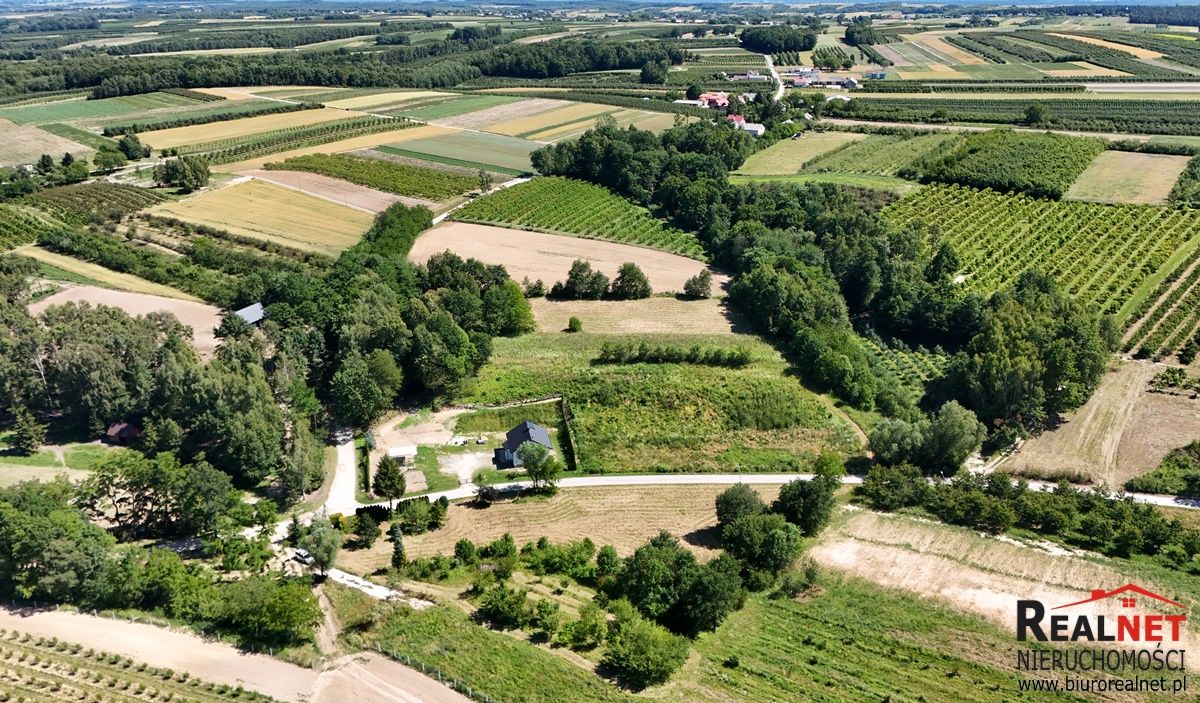 Działka rolno-budowlana Strzałków. Zdjęcie 7