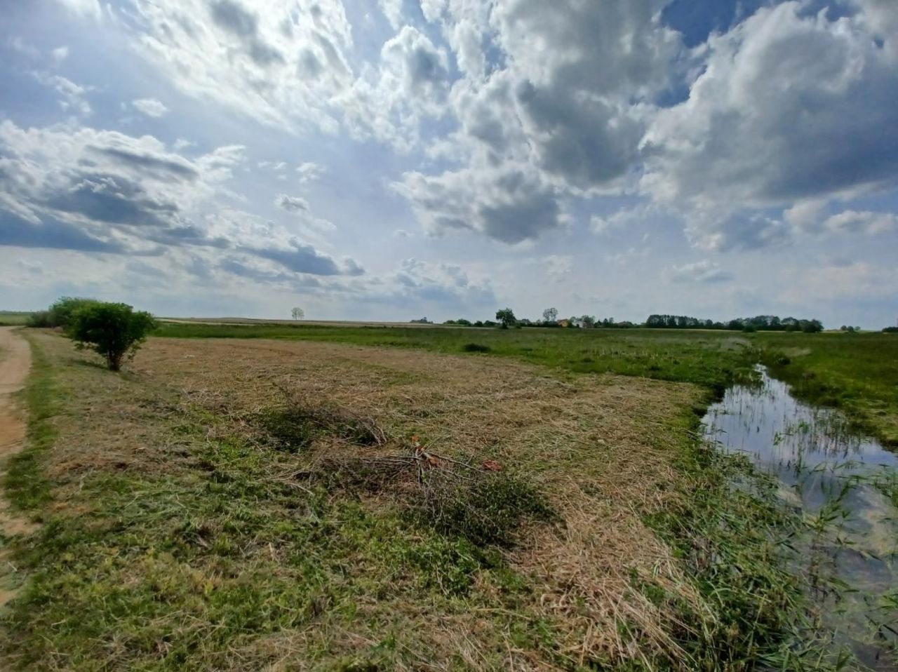 Działka budowlana Biestrzyków Wielki. Zdjęcie 4