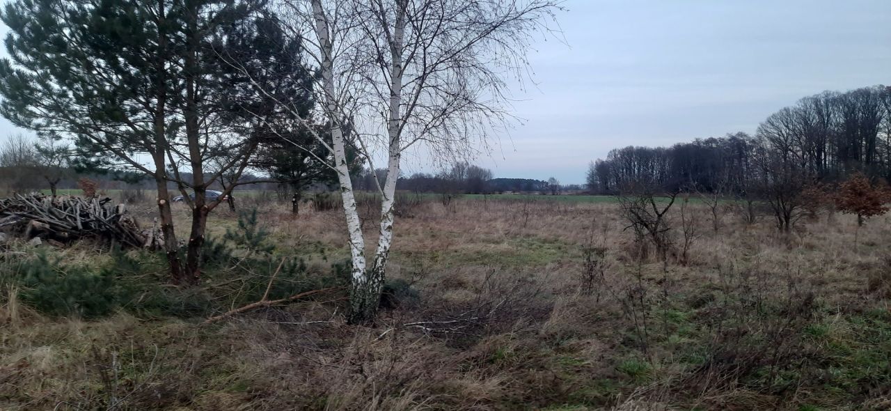 Działka budowlana Sucha Dolna. Zdjęcie 5