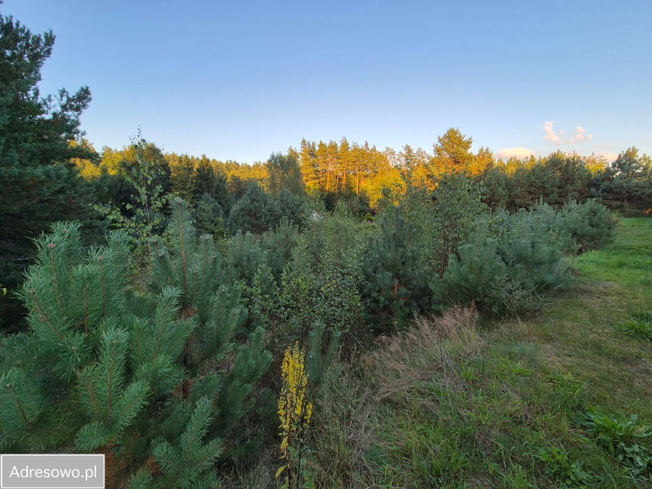 Działka budowlana Jutrzenka. Zdjęcie 6