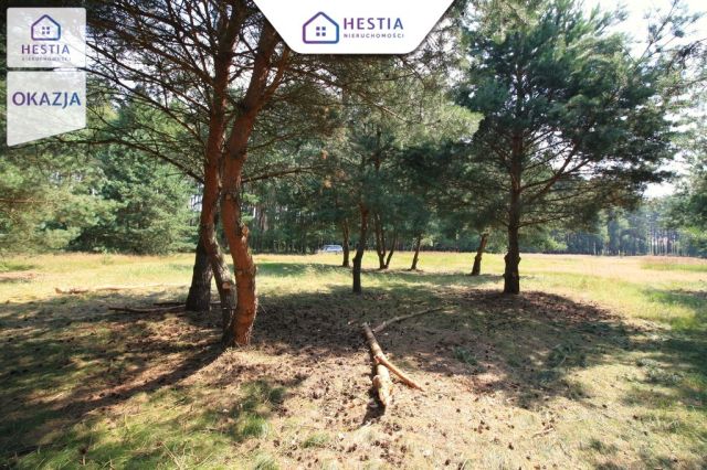 Działka rolna Szczecin Wielgowo, ul. Żywiczna. Zdjęcie 6