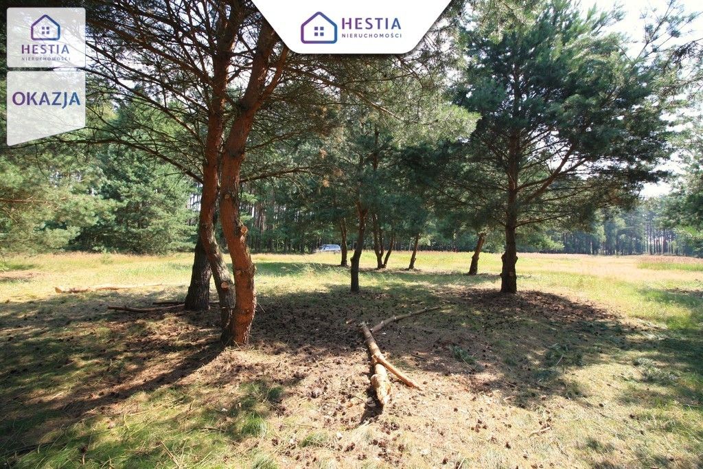 Działka rolna Szczecin Wielgowo, ul. Żywiczna. Zdjęcie 6