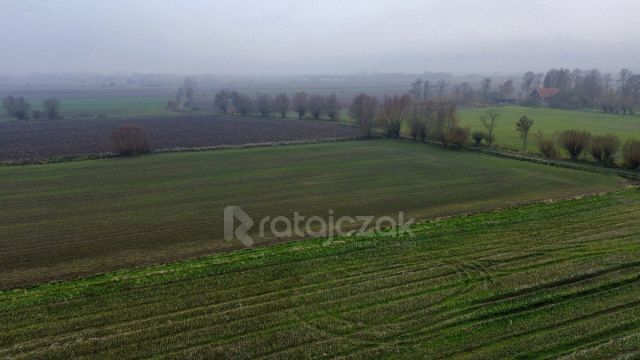 Działka budowlana Drewnica, ul. Wierzbowa. Zdjęcie 13