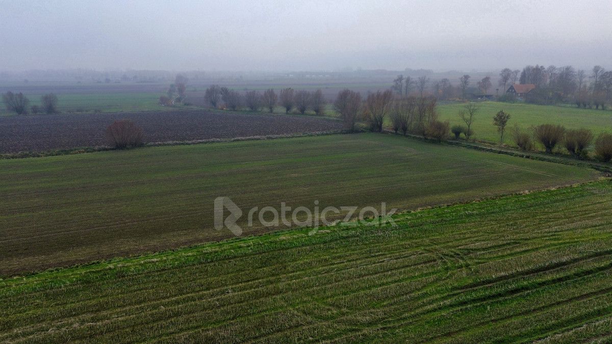 Działka budowlana Drewnica, ul. Wierzbowa. Zdjęcie 13