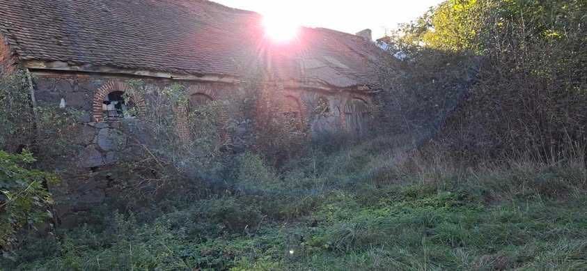 Działka budowlana Jarosławsko. Zdjęcie 1