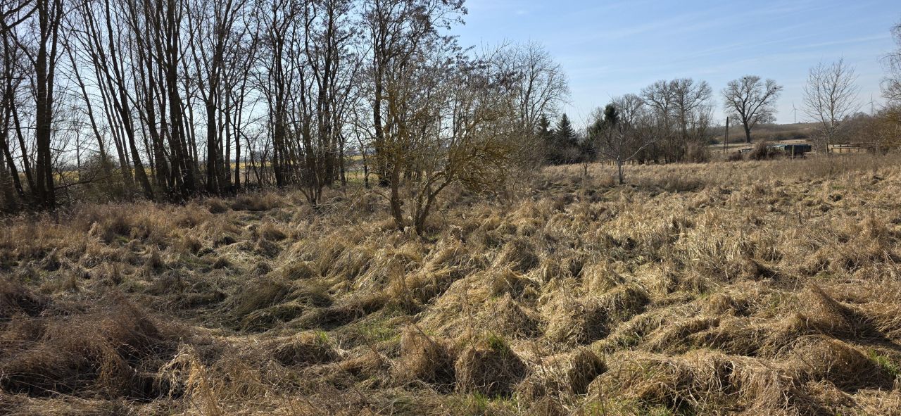 Działka inna Rzepnowo, Rzepnowo. Zdjęcie 14