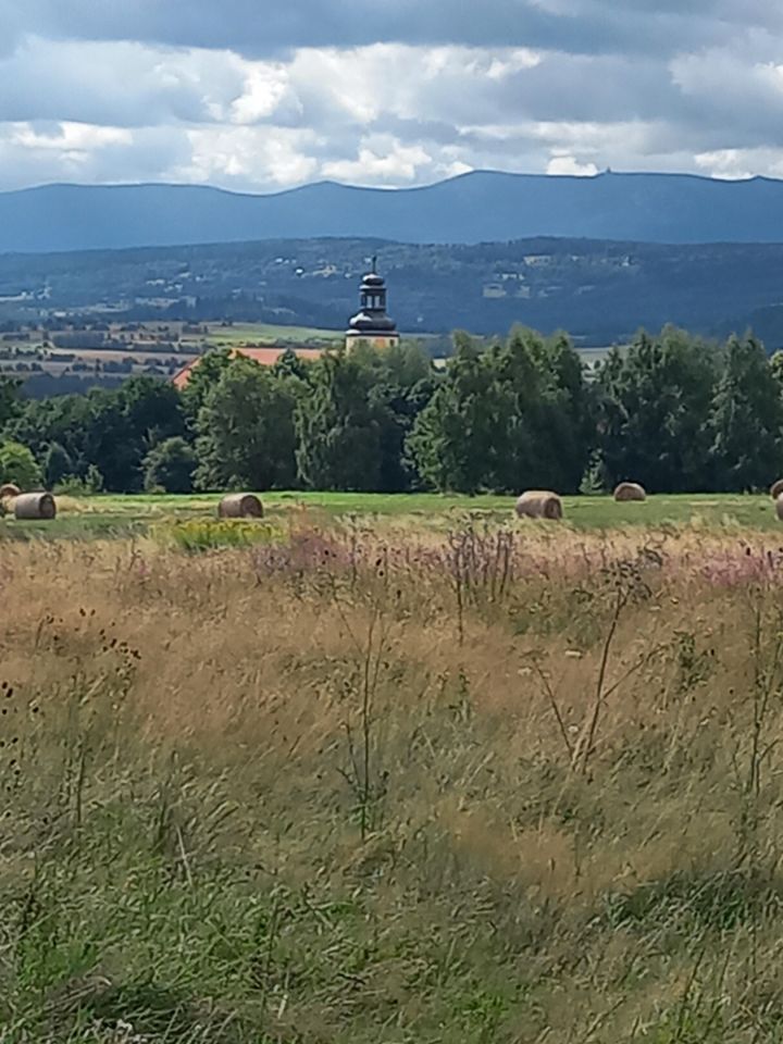 Działka rolno-budowlana Grudza. Zdjęcie 8