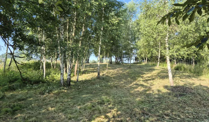 Działka rolno-budowlana Olchowa