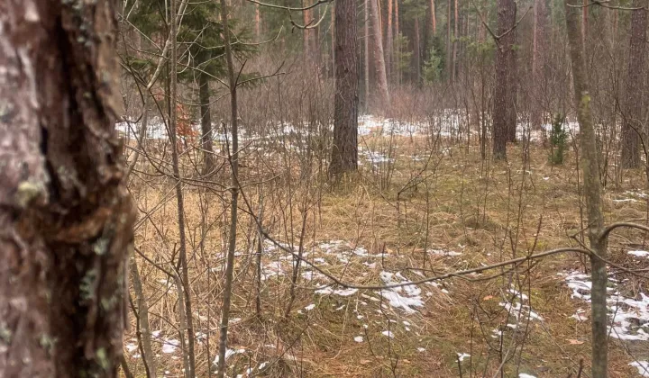 Działka inwestycyjna Huta Szumy