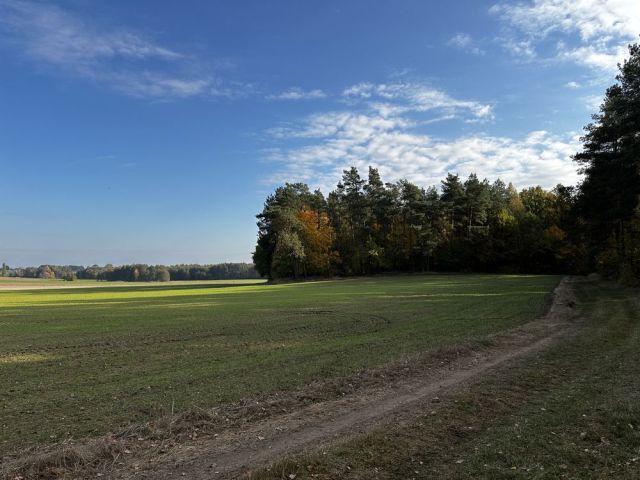 Działka rolna Wola Pawłowska. Zdjęcie 1