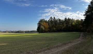 Działka rolna Wola Pawłowska