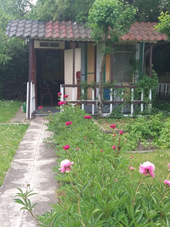 Działka rekreacyjna Opole Armii Krajowej, ul. Kazimierza Sosnkowskiego. Zdjęcie 8