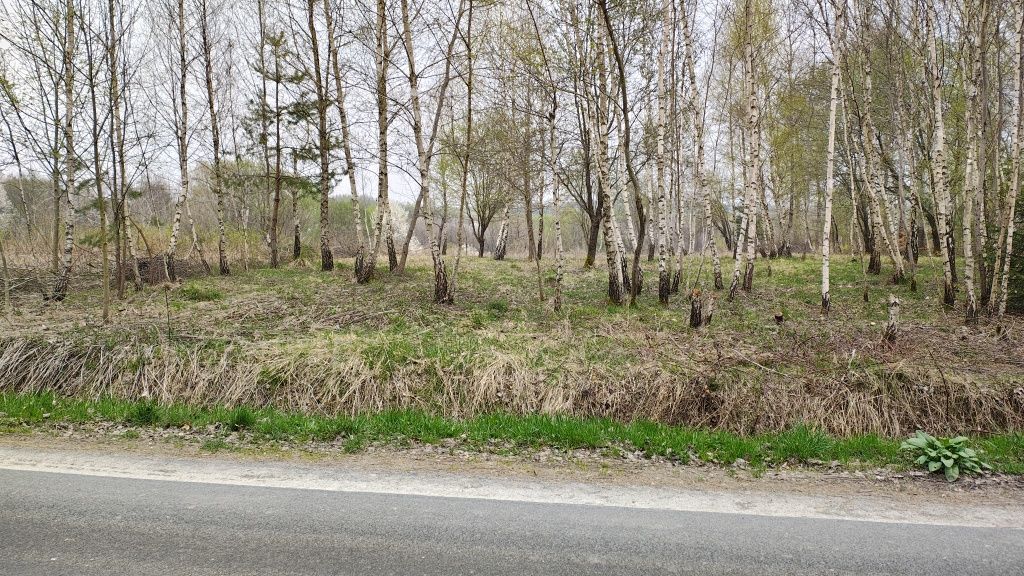 Działka budowlana Hucisko Nienadowskie. Zdjęcie 6