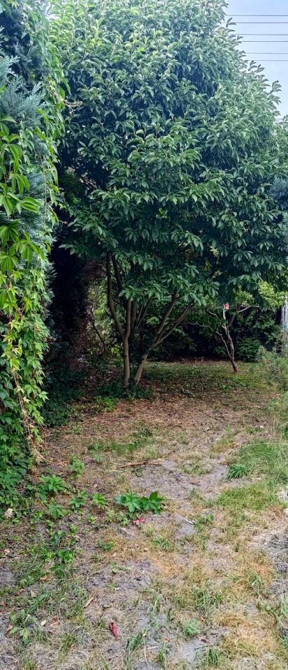 dom wolnostojący, 4 pokoje Bargłówka, ul. Raciborska. Zdjęcie 6