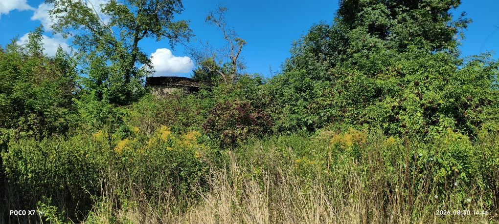 dom wolnostojący, 3 pokoje Rudno Dolne. Zdjęcie 4