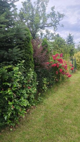 Działka rod Wrocław Brochów, ul. Ignacego Mościckiego. Zdjęcie 1