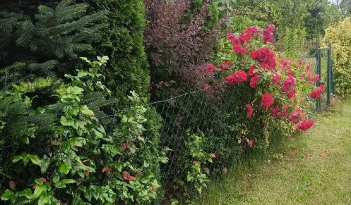 Działka rod Wrocław Brochów, ul. Ignacego Mościckiego