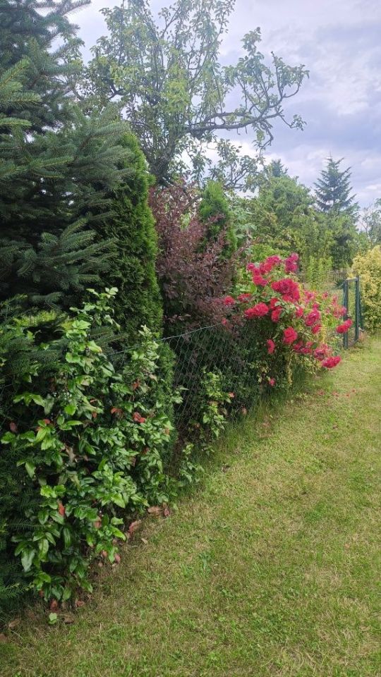 Działka rod Wrocław Brochów, ul. Ignacego Mościckiego