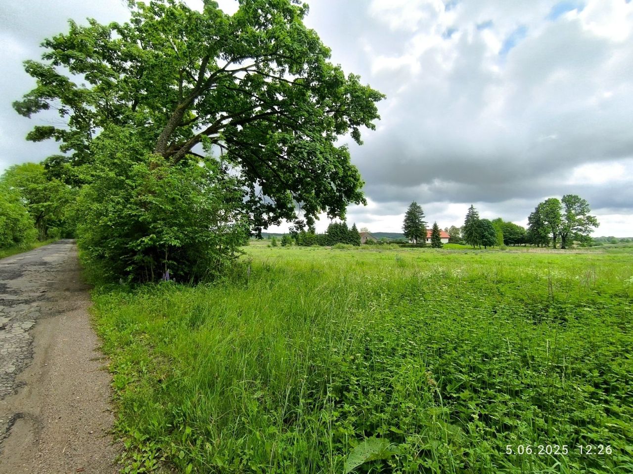 Działka rolna Frączki. Zdjęcie 4