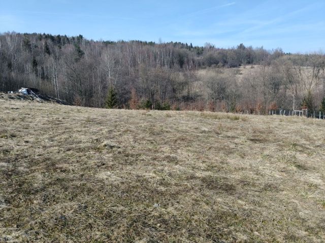 Działka budowlana Bieńkówka. Zdjęcie 1