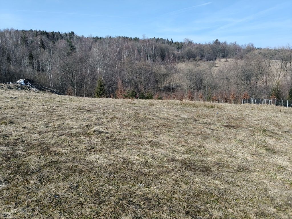 Działka budowlana Bieńkówka. Zdjęcie 1