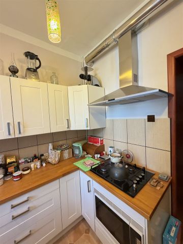 Mieszkanie 2-pokojowe Krynica-Zdrój, ul. Kazimierza Pułaskiego. Zdjęcie 11